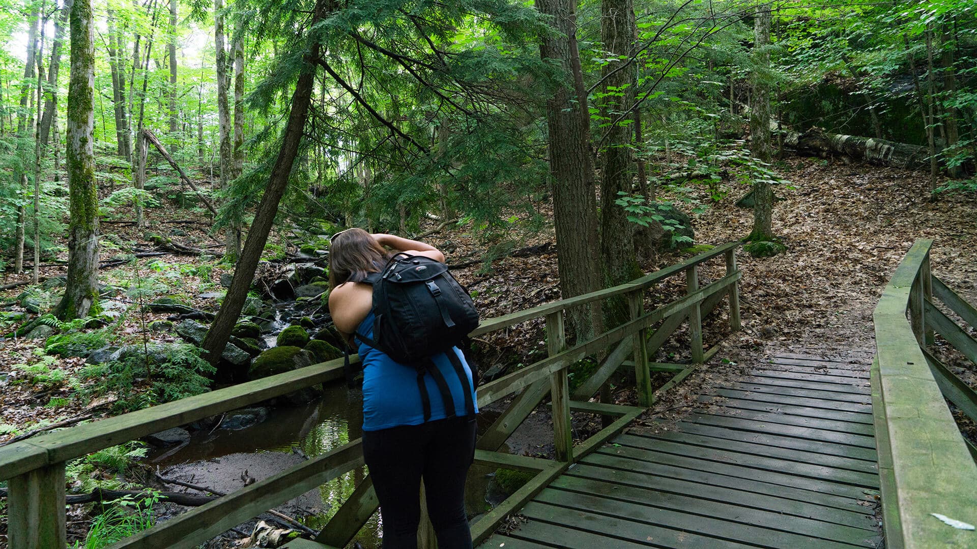 Explore Taboo Trails